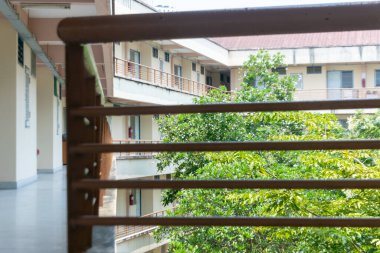 Huzurlu bir balkon manzarası sergilenen yeşillik bir binanın içiyle yan yana. Görüntü, canlı doğayla birlikte mimari özellikleri de yakalıyor ve rahatlatıcı bir atmosfer yaratıyor..