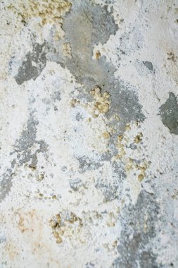 Gri ve beyaz benekli desenler içeren soyut bir duvar dokusunun yakın görüntüsü. Benzersiz kusurlar görsel olarak ilginç bir zemin yaratır..