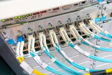 Organize fiber yama kablolarının yer aldığı bir ağ anahtarının yakın plan perspektifi, modern veri iletimi ve iletişim için gerekli karmaşık bağlantıları vurguluyor.