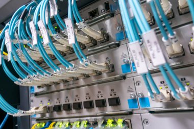 Sunucu odasındaki organize ağ kablolarının yakın görüntüsü, verimli veri iletimi ve bağlantıyı sağlayan teknoloji ve altyapıyı vurguluyor.