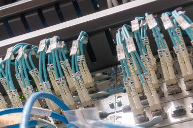 Bir sunucu odasında düzenlenmiş ağ kablolarının yakın görüntüsü, veri iletimi ve elektronik iletişim sistemleri için temel bağlantıyı gösterir.