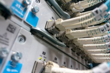 Bir teknoloji altyapısında ağ kabloları ve bağlantıları gösteren detaylı bir yakın çekim. Görüntü, modern iletişim için ağ donanımının karmaşıklığını vurgular.
