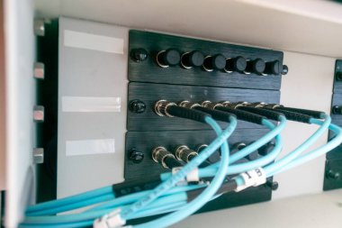 Ağ ekipmanlarının içine monte edilmiş fiber optik bağlantıların yakın görüntüsü. Çeşitli kablolar açıkça organize edilmiş, veri transferi için gerekli teknolojiyi sergiliyorlar.
