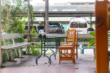 Bereketli yeşilliklerle çevrili ahşap bir sandalye ve masa içeren rahat bir açık kafe oturma alanı, kentsel bir ortamda dinlenmek için sakin bir alan yaratıyor..