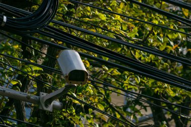 Bir güvenlik kamerası kablolar ve yemyeşil ağlar arasında konumlandırılmış, kentsel bir ortamda teknoloji ve doğanın kesişimini gösteriyor..