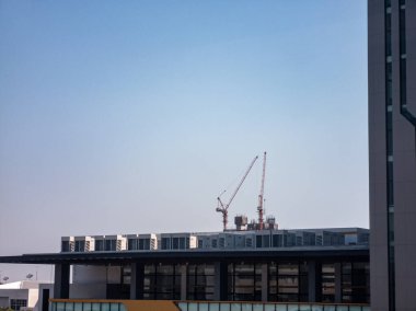 Şehir silueti üzerinde yükselen vinçlerin görüntüsü, şehirdeki inşaat faaliyetlerini vurguluyor. Açık mavi gökyüzü gelişmek için canlı bir zemin oluşturur.