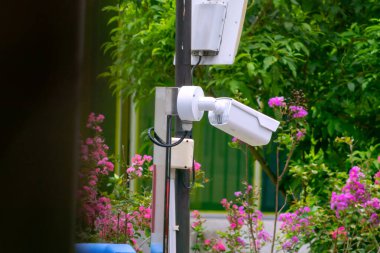 Renkli çiçeklerle dolu canlı bir bahçeye yerleştirilmiş beyaz bir güvenlik kamerası. Doğayla iç içe geçerek güvenliği arttırıyor..