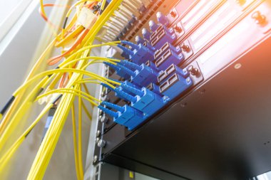 Bir ağ panelinde mavi konnektörlerin yer aldığı, modern teknoloji ve veri iletişim altyapısını gösteren fiber optik kablo kurulumunun yakın görüntüsü.