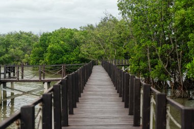 Bereketli yeşillikler arasında dolaşan sakin, ahşap bir patika keşif ve yansımaya davetiye çıkarıyor. Doğa aşıkları ve macera arayanlar için ideal..