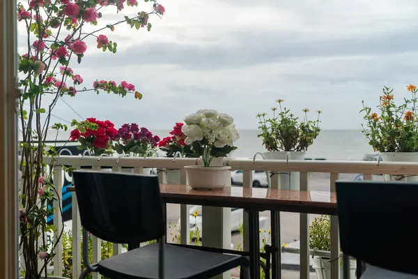 Huzurlu bir balkon manzarası. Huzurlu denizi gören canlı saksılar. Sahilde rahatlamak ve güzelleşmek için ideal bir ortam..
