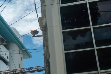 Şehir duvarına monte edilmiş bir güvenlik kamerasının detaylı bir görüntüsü, cam ve bulutlu gökyüzüne karşı modern teknoloji sergiliyor..