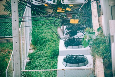 Canlı bir şehir manzarası karışık kablolar ve klima üniteleri, yeşil alanların ortasında uçan bir kuş, şehir yaşamını ve teknolojisini ön plana çıkarıyor..