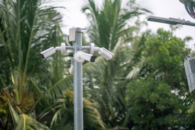 Açık hava güvenlik kameraları yemyeşil alanların arasında bir direğe yerleştirilmiş kentsel bir çevrede gözetim ve güvenliği sağlıyorlar. Güvenlik temaları için ideal.