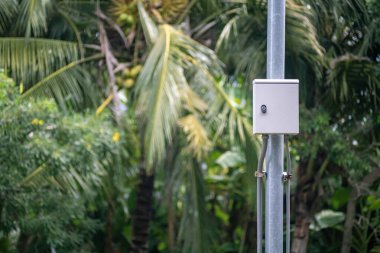 Yeşillik ve tropikal bitkilerle çevrili metal bir direğe monte edilmiş elektrik kutusunun detaylı görüntüsü doğal ortamdaki teknolojiyi gösteriyor..