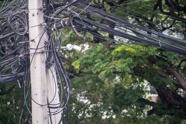 Yeşillik ortasındaki elektrik direğinden çıkan ve doğa ve kentsel altyapının karışımını gösteren karmaşık bir elektrik hattı ve kablo düzenleme..