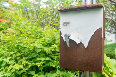 Yıpranmış ve paslı bir posta kutusu canlı yeşil yaprakların arasında duruyor. Kabuğu soyulmuş boya ve ihmal izleri. Fotoğraf kırsal cazibe ve doğal güzelliğin bir karışımını yakalıyor..