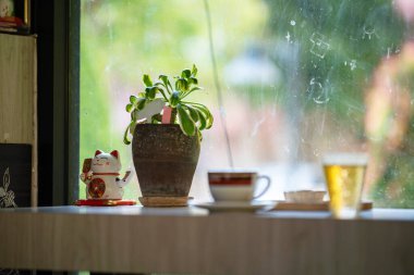 Huzurlu bir kafe içinde büyüleyici bir bitki, bir kahve fincanı ve pencerenin yanında bir bardak içecek sergilenerek, rahat bir atmosfer yaratıyor..