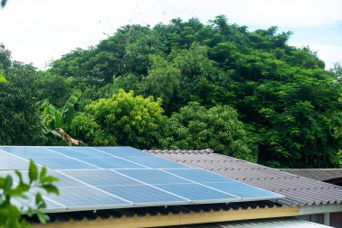 Çatı güneş panelleri, yemyeşil ağaçlarla çevrili temiz enerji üretmek için güneş ışığını yakalıyor, sürdürülebilirliği ve çevre dostu teknolojiyi vurguluyor..