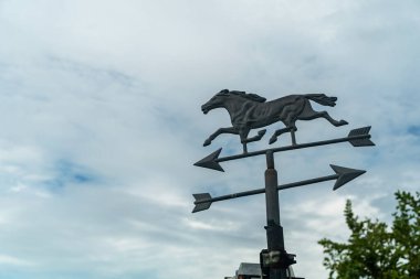 Bu resim, doğadaki yön ve hareketin özünü yansıtan manzaralı bir zemin üzerine kurulu ayrıntılı bir at rüzgar gülü sergiliyor..