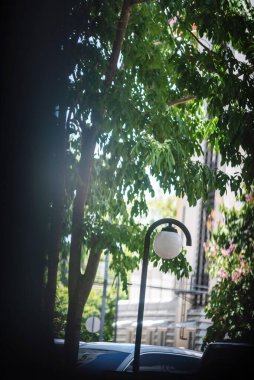 Canlı ağaçlarla çevrili bir sokak lambasının yer aldığı sakin bir şehir manzarası, gün ışığında doğa ve şehir hayatının mükemmel bir karışımını sağlıyor..