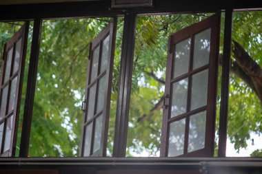 Open windows reveal a vibrant view of lush green trees, inviting natural light and fresh air into the indoor space, creating a peaceful atmosphere.