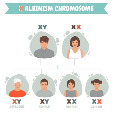 Albino insanları, albinizmli kadın ve erkekler. Her iki ebeveynin de anormal Albinizm geni Uluslararası Albinizm Farkındalık Günü 'nü taşıdığı çekinik kalıtın dijital çizimi. Kadın ve erkek beyaz