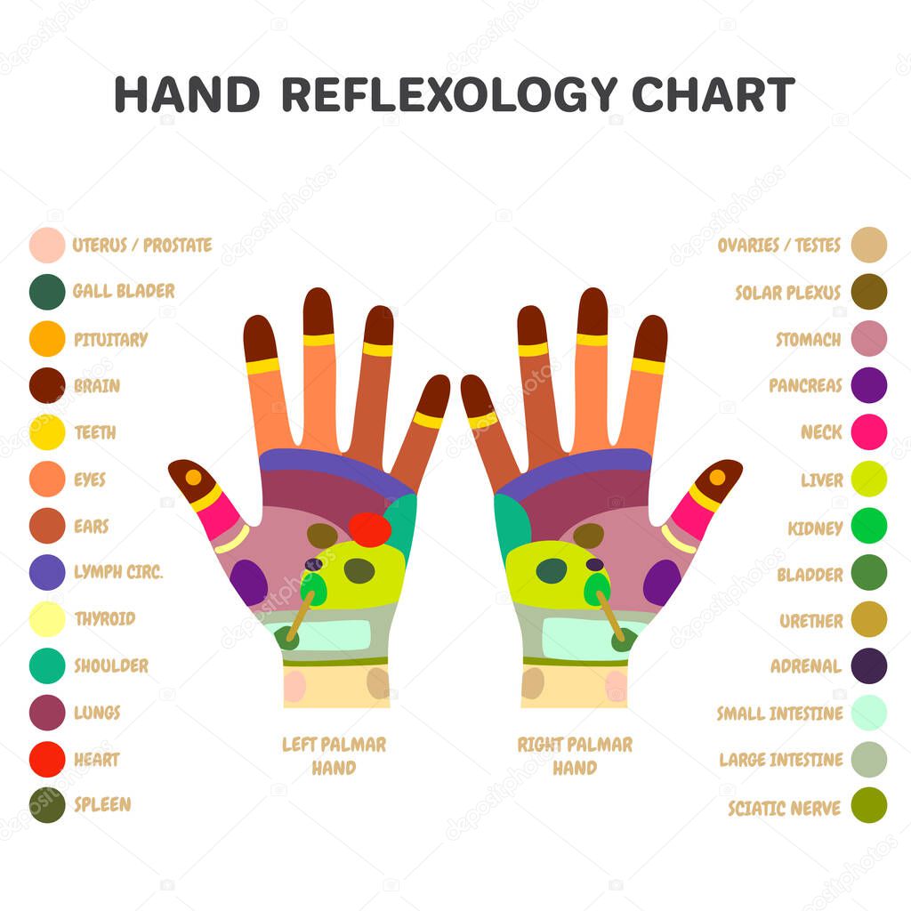 Puntos Masaje Manos Reflexologia Acupuntura Puntos Acupresion Terapia Manos Medicina Vector de stock por eveleen 646636600