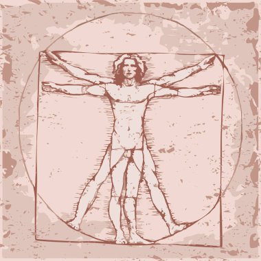 Da Vinci Vetruvian Man konsepti. vektör simgesi insan vücudu