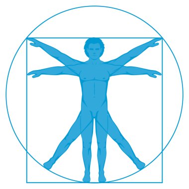 Da Vinci Vetruvian Man konsepti. vektör simgesi insan vücudu