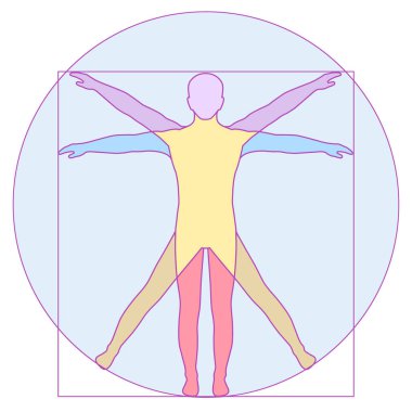 Da Vinci Vetruvian Man konsepti. vektör simgesi insan vücudu