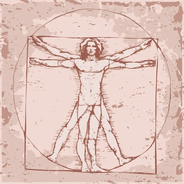 Vinci Concepto Del Hombre Vetruviano Vector Icono Cuerpo Humano — Archivo Imágenes Vectoriales