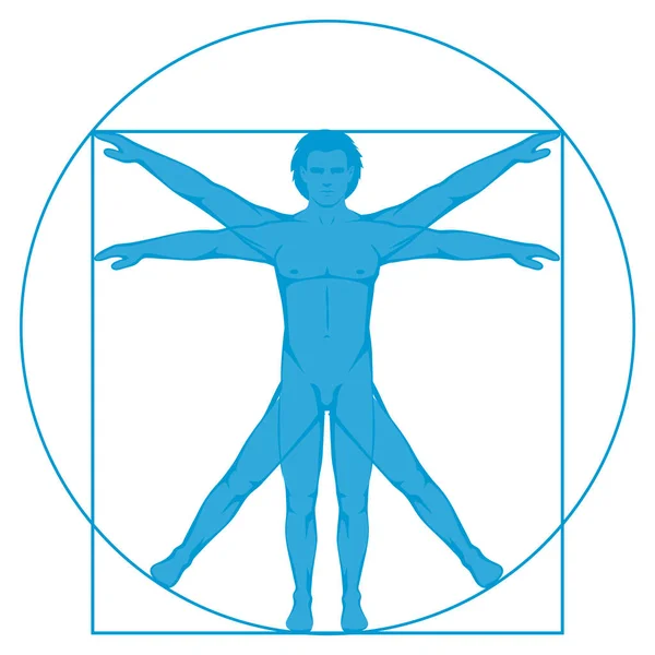 Vinci Concepto Del Hombre Vetruviano Vector Icono Cuerpo Humano Gráficos vectoriales
