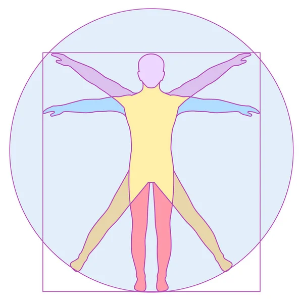 Vinci Vetruvian Man Konzept Vektorsymbol Menschlicher Körper lizenzfreie Stockvektoren