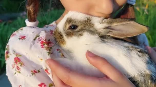 Lille Sød Pige Holder Baby Kanin Udendørs – Stock-video
