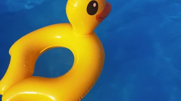 Резинка Желтая Утка Голубом Бассейне Водной Поверхностью Солнца — стоковое видео