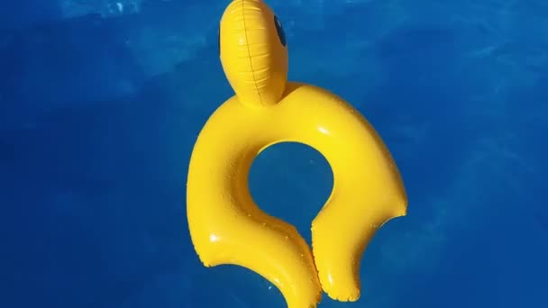 蓝色游泳池里的橡胶黄鸭 水面上有阳光 — 图库视频影像