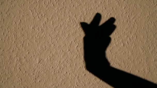 Shadow Female Hand Motion — Video