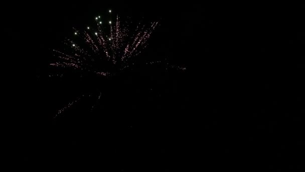 Фейерверки Ночном Небе — стоковое видео