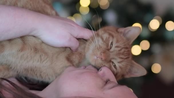 Woman Huging Red Cat Home Gentel Friendship Cat Woman — Αρχείο Βίντεο