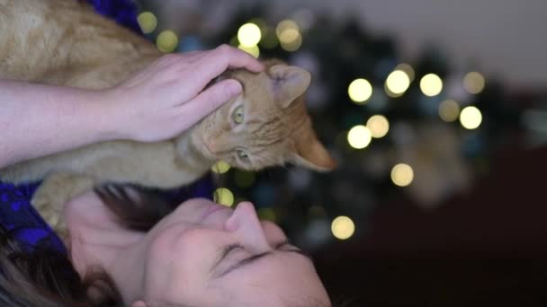 Woman Huging Red Cat Home Gentel Friendship Cat Woman — Wideo stockowe