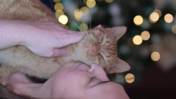 Woman Huging Red Cat Home Gentel Friendship Cat Woman — Stock video