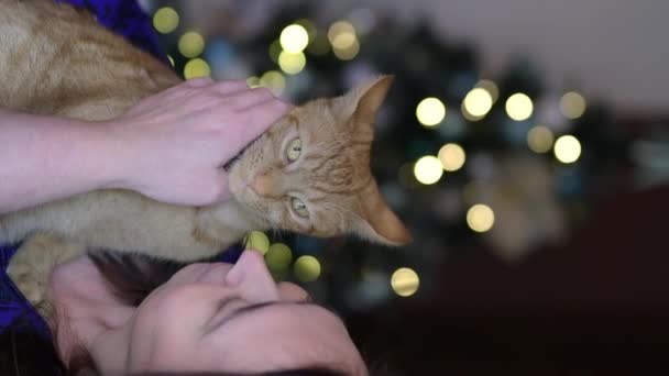 Woman Huging Red Cat Home Gentel Friendship Cat Woman — Vídeos de Stock