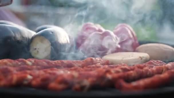 Deliciosa Carne Parrilla Barbacoa Verano — Vídeos de Stock