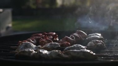 Izgarada nefis et, yaz barbeküsü