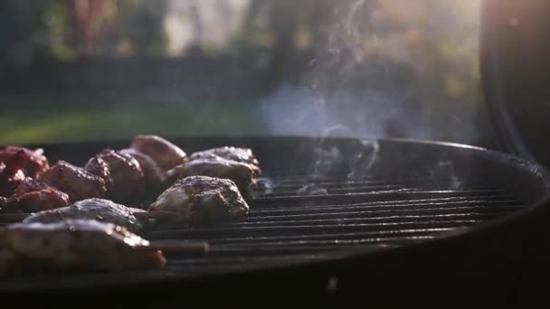 グリルでおいしい肉夏のバーベキュー — ストック動画