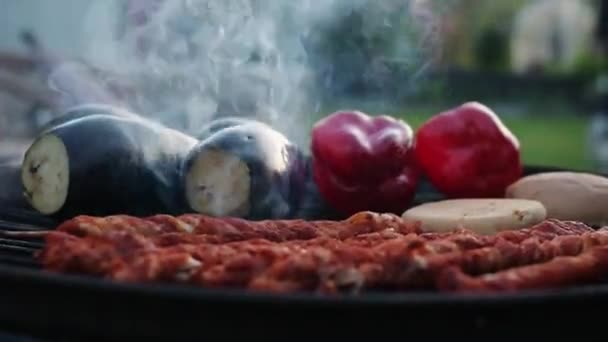 Barbecue Groenten Vlees Koken Tuin — Stockvideo