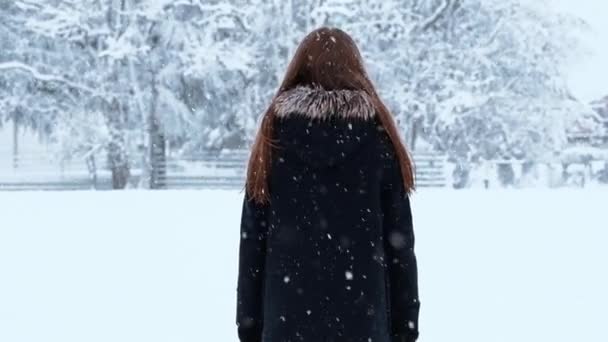 冬の寒い季節に雪で楽しんでいる可愛い女の子 — ストック動画