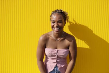 Sarı arka planda uzun örgülü güzel Afro-Amerikan bir kadının portresi.