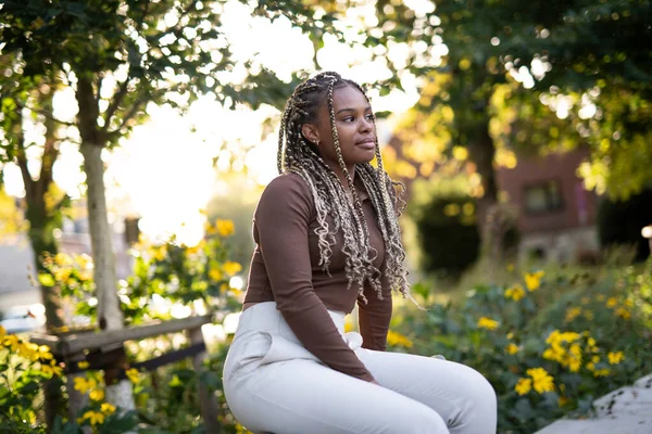 Parkta Uzun Örgülü Güzel Afro Amerikan Bir Kadının Portresi Telifsiz Stok Imajlar