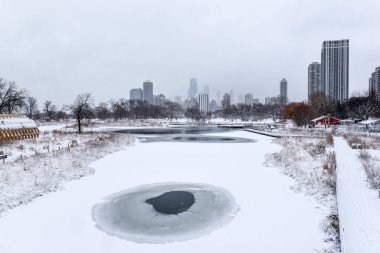 Chicago şehri, Illinios manzarası